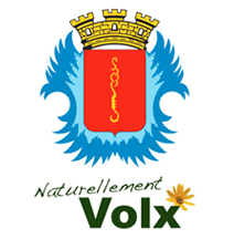 logo_volx
